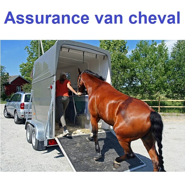 Cavalier rentre son cheval dans son van et assurance van cheval