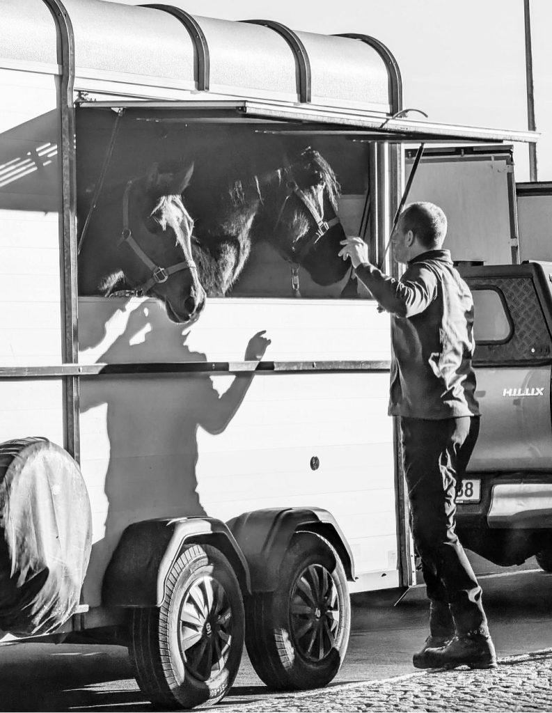 2 chevaux sortent leur tête du van qui fait office de box et assurance van pour chevaux