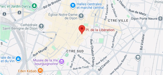 Place de la Libération 21000 Dijon Bourgogne-Franche-Comté